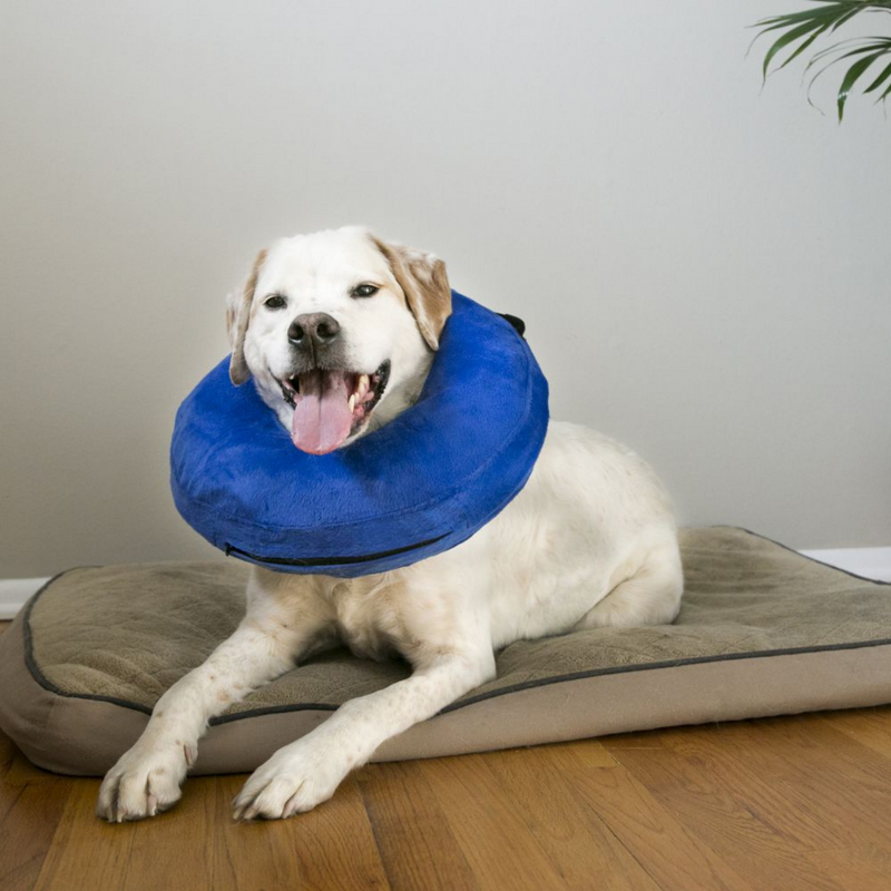 KONG Cloud Inflatable Collar