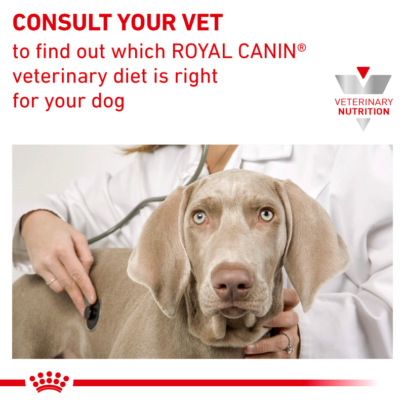 ROYAL CANIN® Canine Urinary S/O Ageing 7+ Loaf Wet Dog Food
